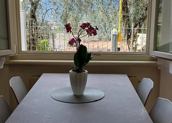 Marigarda *